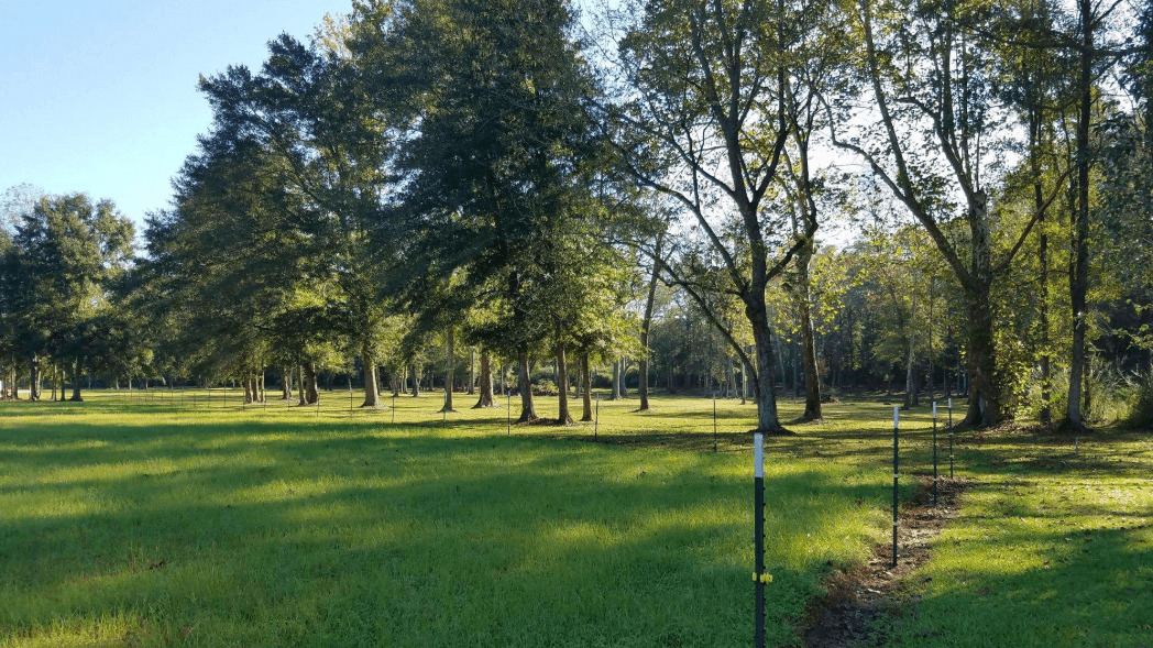 Screenshot 2025 12 18 122643