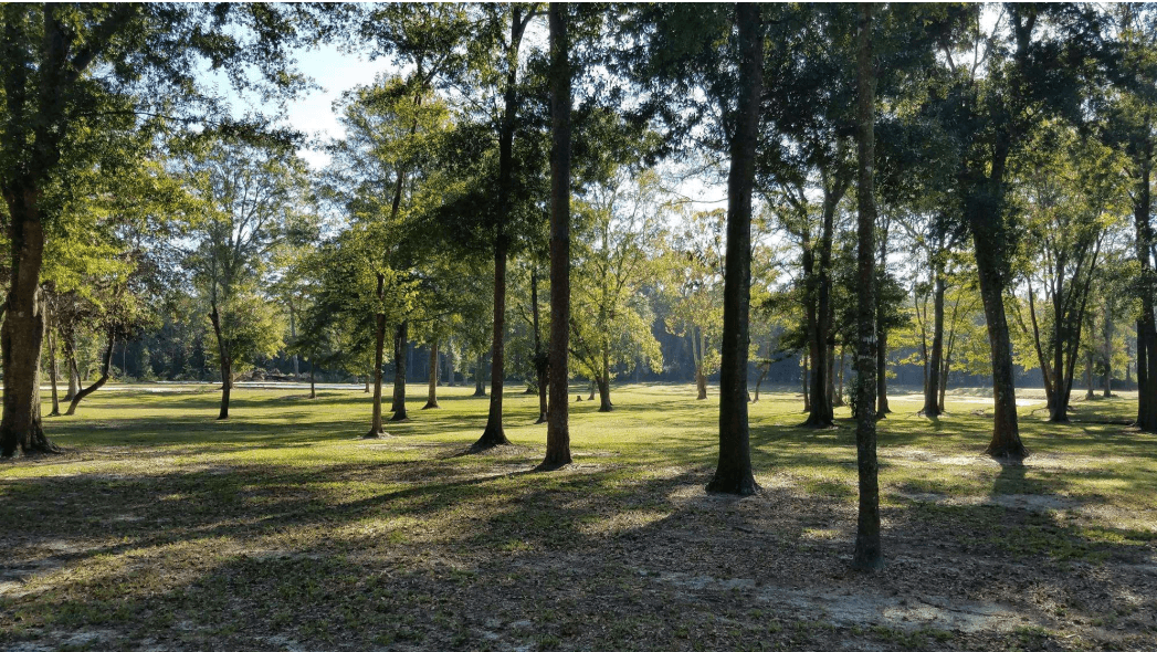 Screenshot 2025 12 18 122659